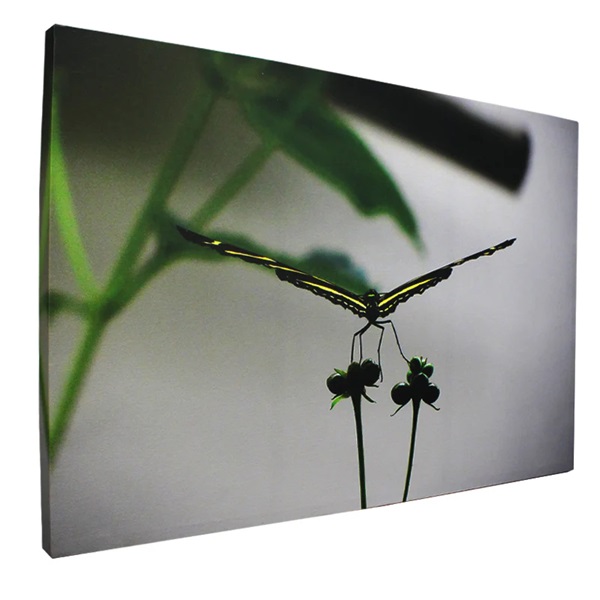 Naturaleza 60*90 cm